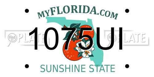1075UI Florida License Plate