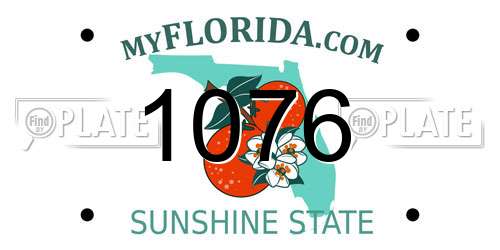 1076 Florida License Plate