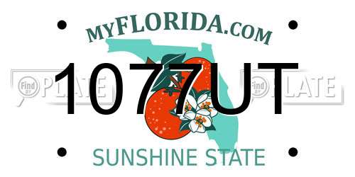 1077UT Florida License Plate