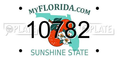 10782 Florida License Plate