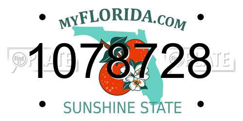 1078728 Florida License Plate