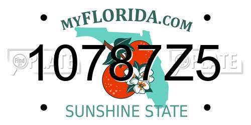 10787Z5 Florida License Plate