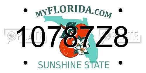10787Z8 Florida License Plate