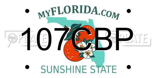107CBP Florida License Plate