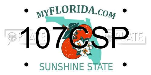 107CSP Florida License Plate