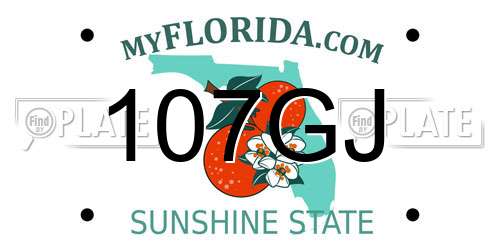 107GJ Florida License Plate
