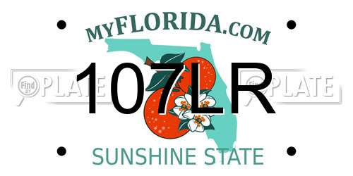107LR Florida License Plate