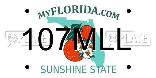 107MLL Florida License Plate