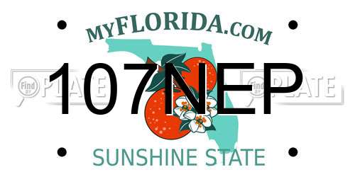 107NEP Florida License Plate