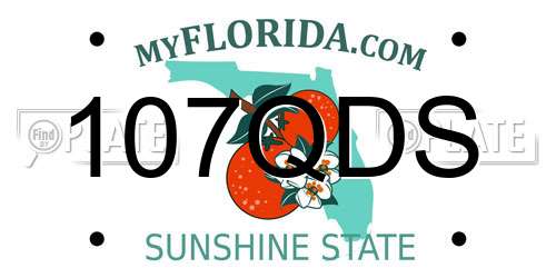 107QDS Florida License Plate