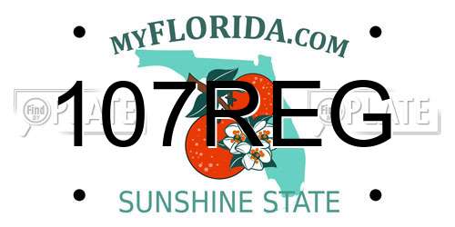 107REG Florida License Plate