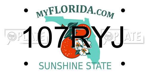107RYJ Florida License Plate