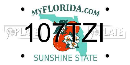 107TZI Florida License Plate