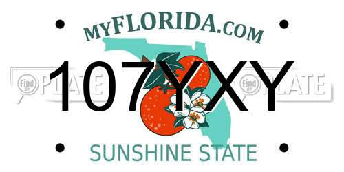 107YXY Florida License Plate