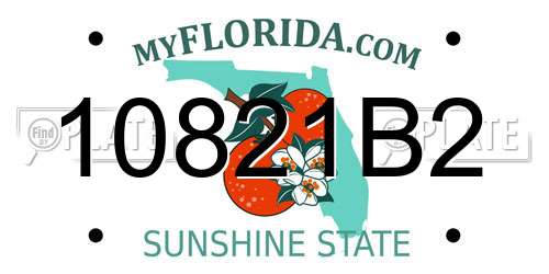 10821B2 Florida License Plate