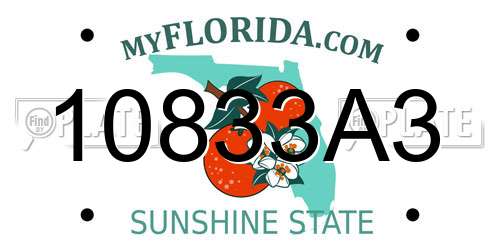 10833A3 Florida License Plate