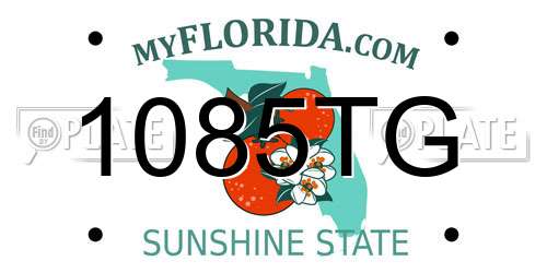1085TG Florida License Plate
