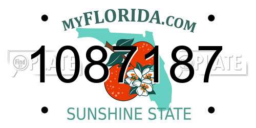1087187 Florida License Plate