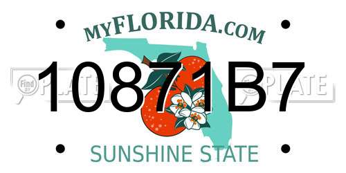 10871B7 Florida License Plate