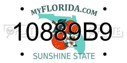 10889B9 Florida License Plate