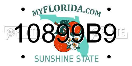 10899B9 Florida License Plate