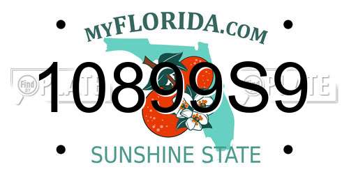 10899S9 Florida License Plate