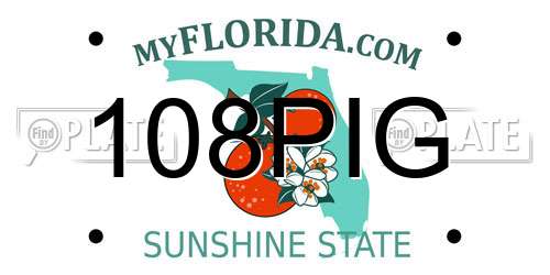 108PIG Florida License Plate