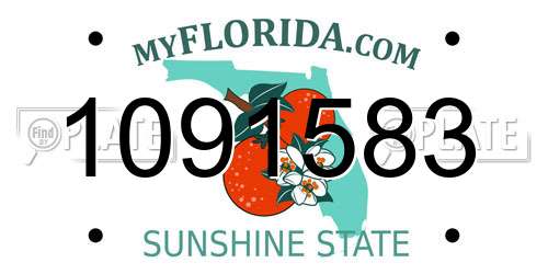 1091583 Florida License Plate
