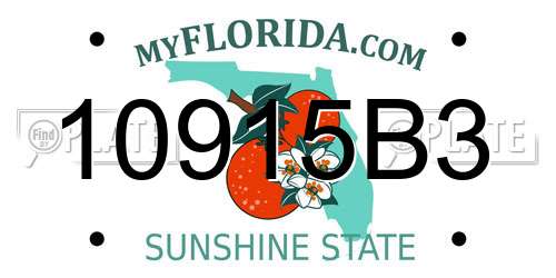 10915B3 Florida License Plate