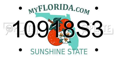 10918S3 Florida License Plate