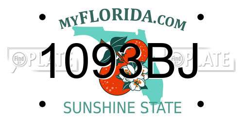1093BJ Florida License Plate