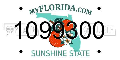 1099300 Florida License Plate