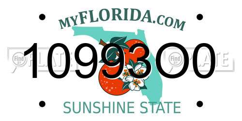 10993O0 Florida License Plate