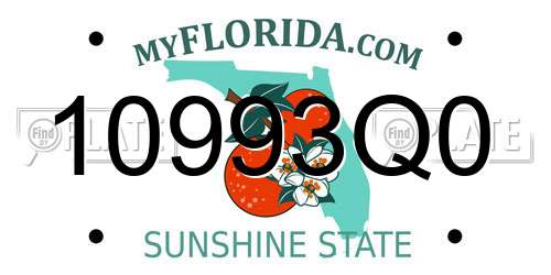 10993Q0 Florida License Plate