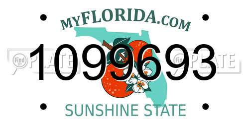 1099693 Florida License Plate