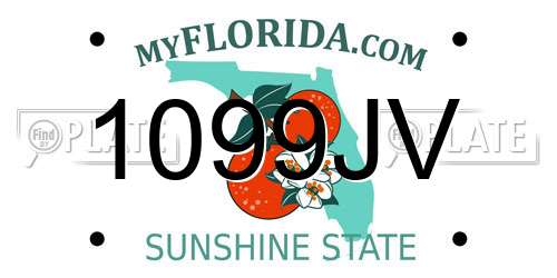 1099JV Florida License Plate