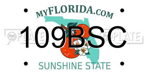 109BSC Florida License Plate