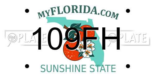 109FH Florida License Plate