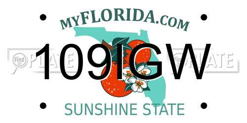 109IGW Florida License Plate