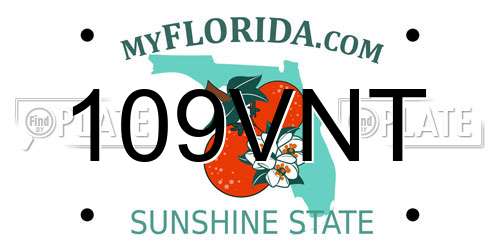 109VNT Florida License Plate