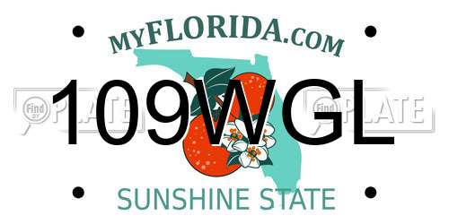 109WGL Florida License Plate