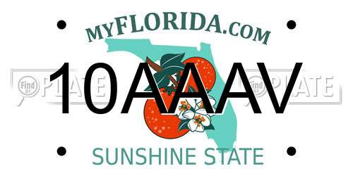 10AAAV Florida License Plate