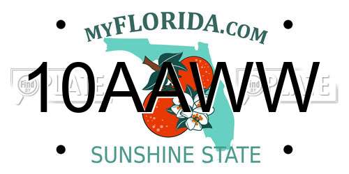 10AAWW Florida License Plate