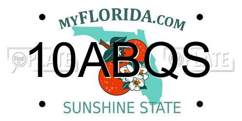 10ABQS Florida License Plate