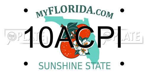 10ACPI Florida License Plate