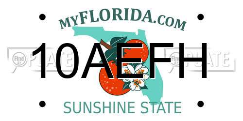 10AEFH Florida License Plate