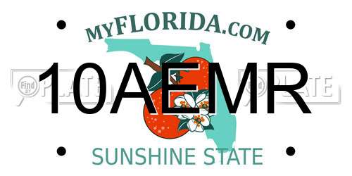 10AEMR Florida License Plate