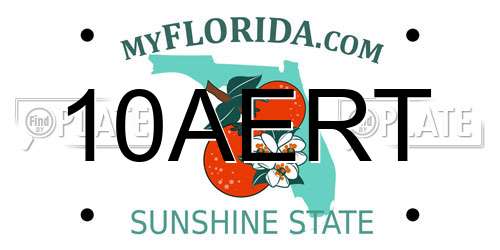 10AERT Florida License Plate