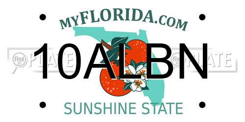 10ALBN Florida License Plate