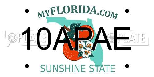 10APAE Florida License Plate
